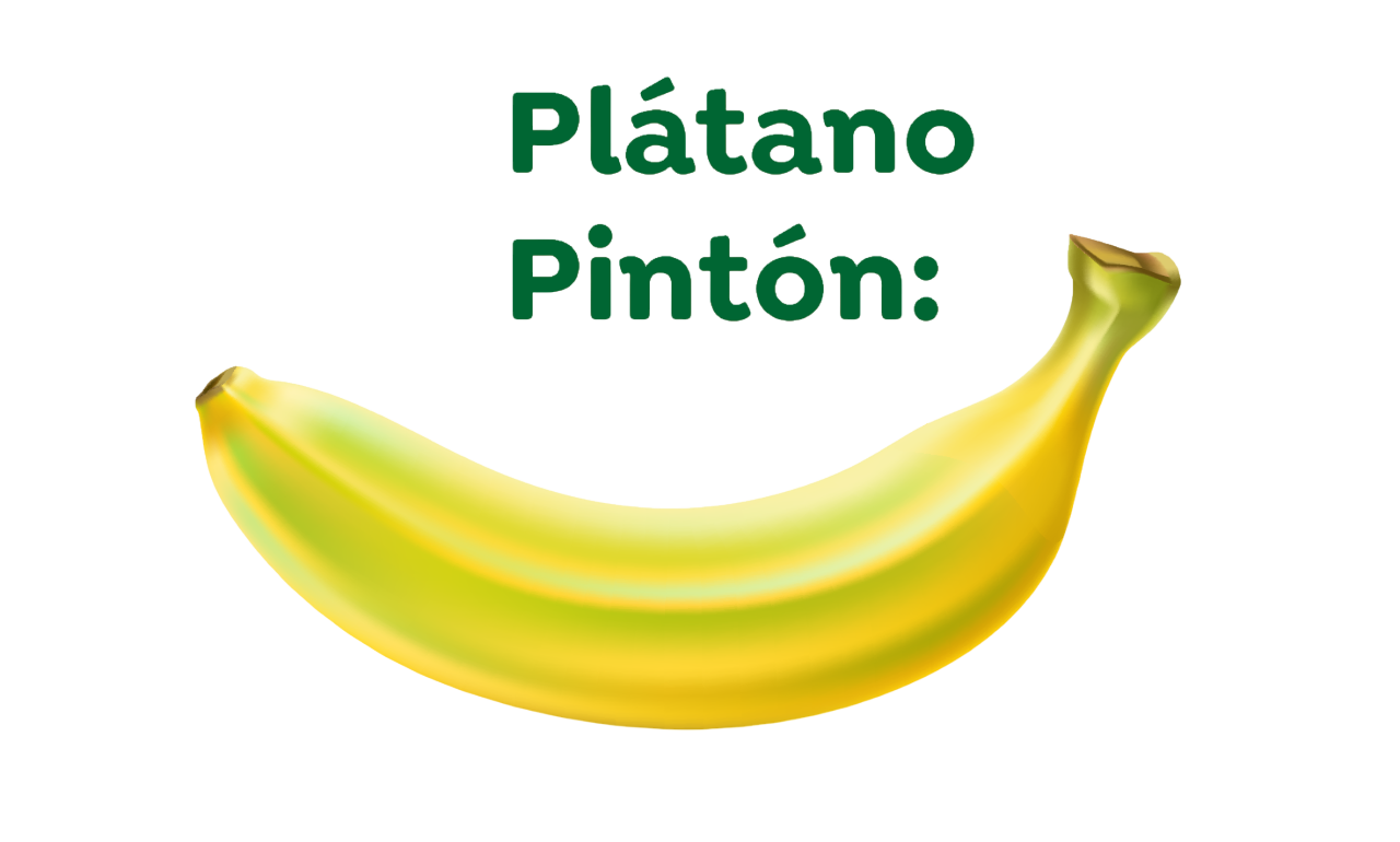 Plátano pintón para distribución nacional